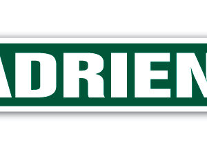 4 x 18 in. Childrens Name Room Street Sign - Adrien