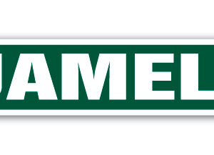 4 x 18 in. Childrens Name Room Street Sign - Jamel