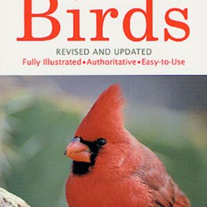 A Golden Guide from St. Martins Press Birds Book