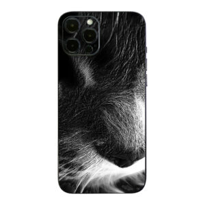 APIPH12PRM-Cat Skin for Apple iPhone 12 Pro Max - Cat