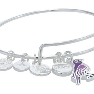 Alex and Ani Grace Violet Backed Starling Duo Expandable Wire Bracelet (Shiny Silver) Bracelet