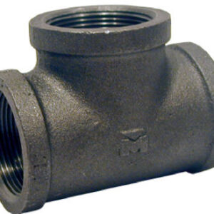 B-TEE20 Black Equal Tee - 2 in.