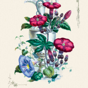 Buy Enlarge 0-587-04357-1P12x18 Trumpet Quartet- Paper Size P12x18