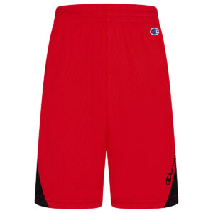 Champion Boys' 8-20 Angled Peek Shorts