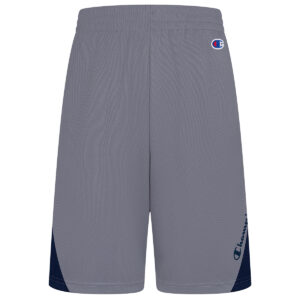 Champion Boys' 8-20 Angled Peek Shorts