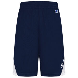 Champion Boys' 8-20 Angled Peek Shorts