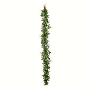 FG191212 6 ft. Lamb Ear Garland