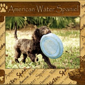 Giftworks Plus DBA0010 American Water Spaniel- Alder Wood Frame- 5 x 7 In