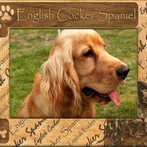 Giftworks Plus DBA0071 English Cocker Spaniel- Alder Wood Frame- 3.5 x 5 In