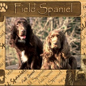 Giftworks Plus DBA0076 Field Spaniel- Alder Wood Frame- 4 x 6 In