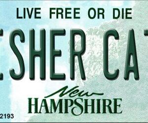 KC-12193 1.5 x 3 in. Fisher Cats New Hampshire Novelty Metal Key Chain