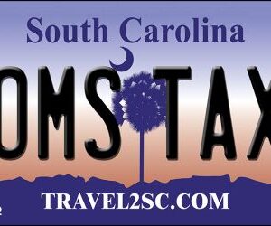 KC-6282 1.5 x 3 in. Moms Taxi South Carolina License Plate Key Chain