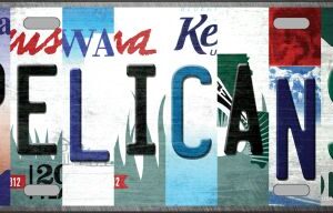 LP-13567 6 x 12 in. Pelicans Strip Art Novelty Metal License Plate Tag