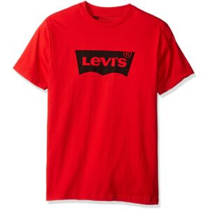 Levi's Guys' Batwing Short-Sleeve Graphic Tee