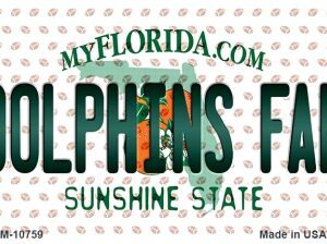 M-10759 3.5 x 2 in. Dolphins Fan Florida State License Plate Magnet