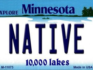 M-11073 3.5 x 2 in. Native Minnesota State License Plate Novelty Magnet