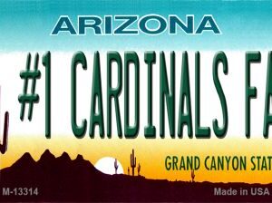 M-13314 3.5 x 2 in. Number 1 Cardinals Fan Novelty Metal Magnet