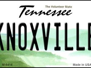 M-6416 3.5 x 2 in. Knoxville Tennessee State License Plate Magnet