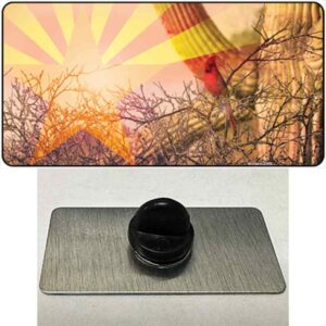 PIN-LP-11436 1.5 x 0.75 in. Arizona State Flag Overlay On Cardinal Novelty Rectangle Metal Hat Pin