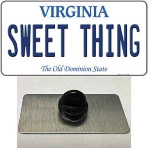 PIN-LP-12513 1.5 x 0.75 in. Sweet Thing Virginia Novelty Rectangle Metal Hat Pin
