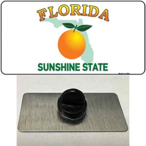 PIN-LP-4279 1.5 x 0.75 in. Florida State Novelty Rectangle Metal Hat Pin