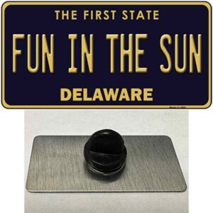 PIN-LP-6711 1.5 x 0.75 in. Fun In The Sun Delaware Novelty Rectangle Metal Hat Pin