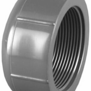 PVC 08117 1200HA .75 in. PVC Schedule 80 Female Thread Cap
