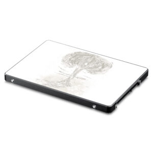 SA850EV-End Skin for Samsung 850 & 860 Evo 2.5 in. SSD - End