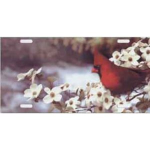 SM588 6 x 12 in. Cardinal Bird Airbrush License Plate