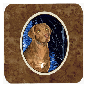 SS8384FC Starry Night Chesapeake Bay Retriever Foam Coasters - Set Of 4- 3.5 x 3.5 In.