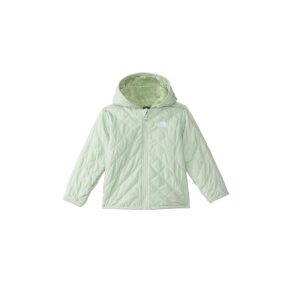 The North Face Kids Reversible Shady Glade Hooded Jacket (Infant) (Misty Sage) Kid's Clothing