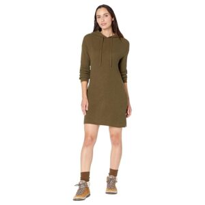 Toad&Co Whidbey Hooded Sweaterdress (Fir) Women's Dress