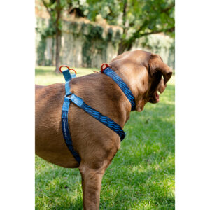 United By Blue Woven Dog Harness