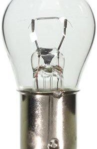 1141 Back Up Light Bulb, Clear