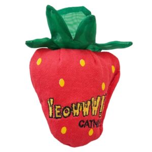 96500131 C Strawberry Fish Toy, Red