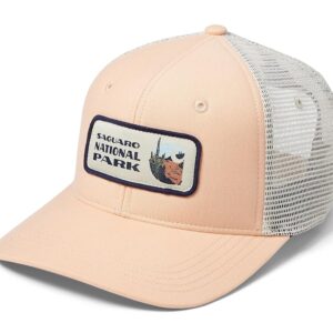Carhartt Canvas Saguaro National Park Patch Cap (Tropical Peach) Caps