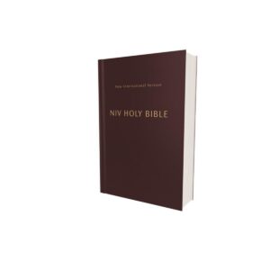 231308 NIV Compact Holy Comfort Print Softcover Bible - Burgundy