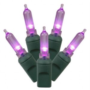 X6G7506 50Lt LED Purple/GW Italian Ec 6''x25'