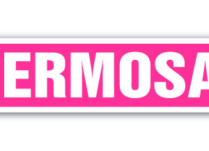 4 x 18 in. Childrens Name Room Street Sign - Hermosa