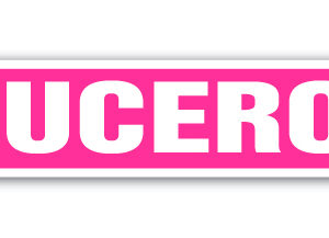 4 x 18 in. Childrens Name Room Street Sign - Lucero