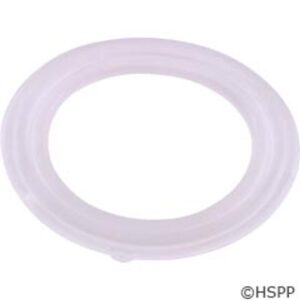 46926400 Euro Jet Wall Fitting Gasket