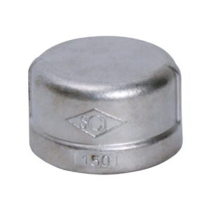 4809950 1 in. Stainless Steel Cap