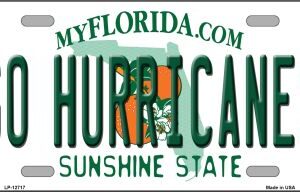 LP-12717 6 x 12 in. Go Hurricanes Novelty Metal License Plate