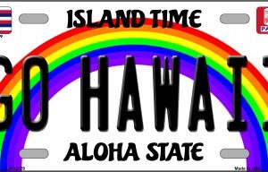 LP-12729 6 x 12 in. Go Hawaii Novelty Metal License Plate