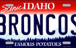 LP-12737 6 x 12 in. Broncos Novelty Metal License Plate