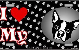 LP-3893 I Love My Boston Terrier Metal Novelty License Plate