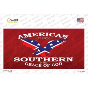 LP-7917s-M American by Birth Novelty Sticker Decal - Medium