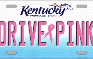 LP-9652 Drive Pink Kentucky Novelty Metal License Plate - 6 x 12 in.