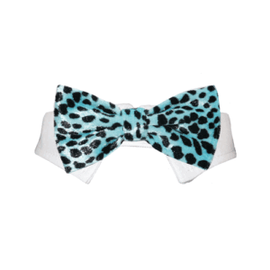 Roberto Bow Tie - Aqua - Extra Large